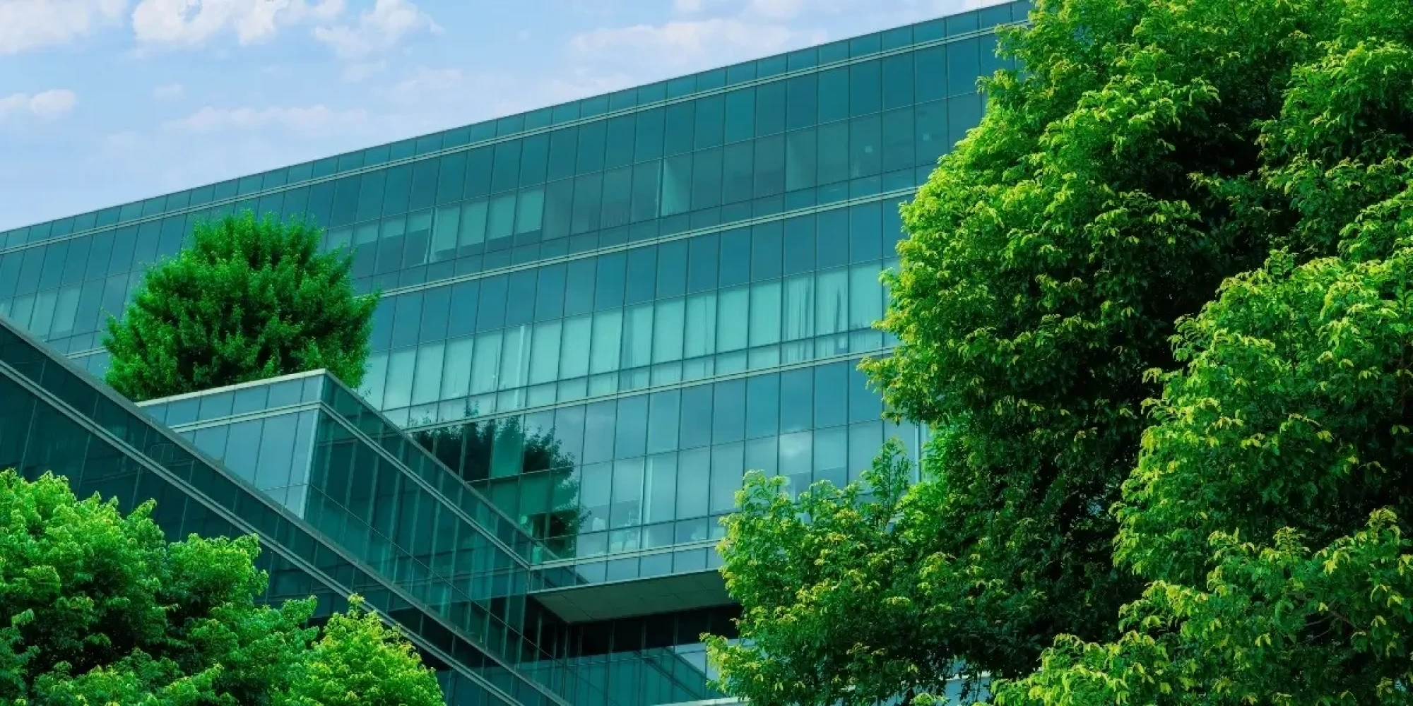 Office Building with Green Trees
