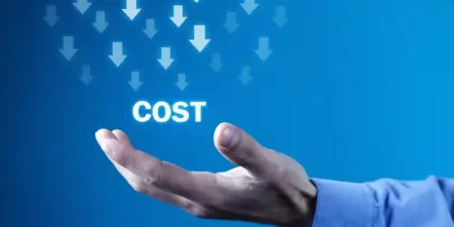 Blog Wide Reducing costs header