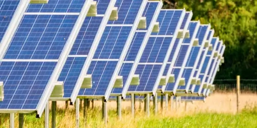 The Environmental Impact of Solar Farm Security Thumbnail Wide  (1)