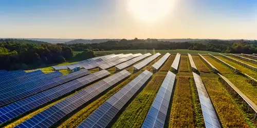 Blog Wide Solar panels in a row in a field