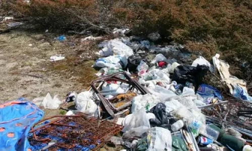 Blog Wide Fly-tipping next to a roadside with bushes