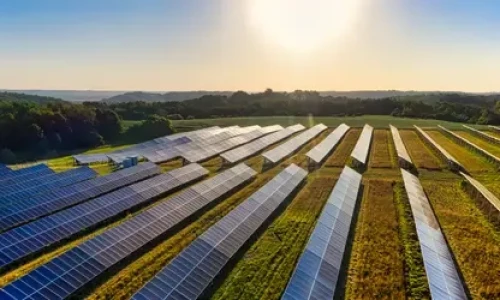 Blog Wide Solar panels in a row in a field