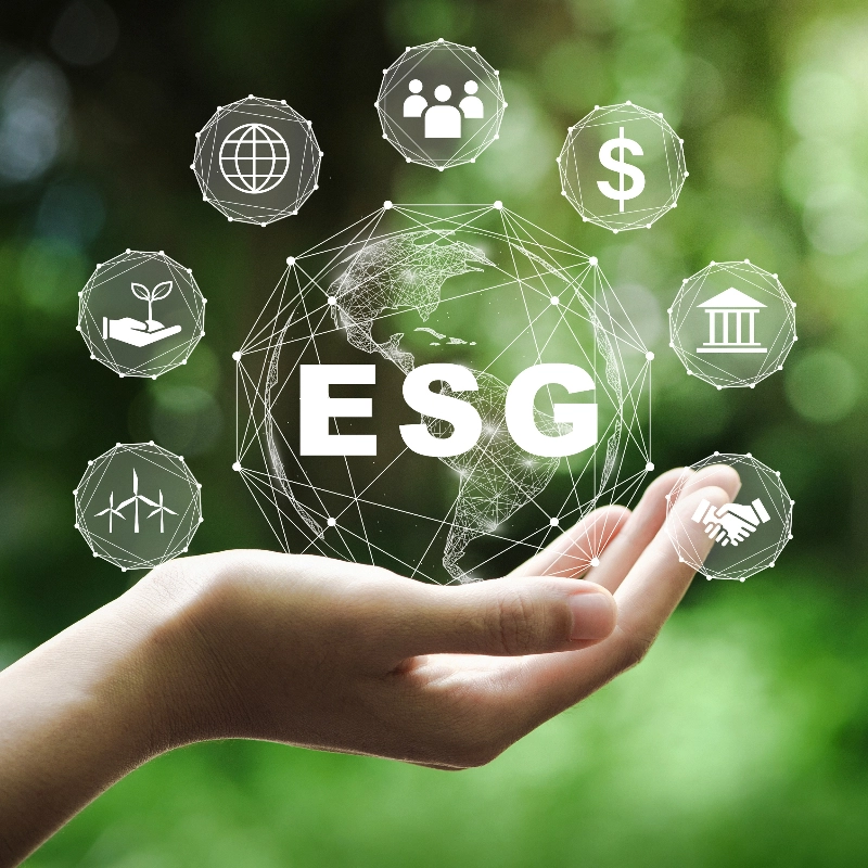 ESG Graphic