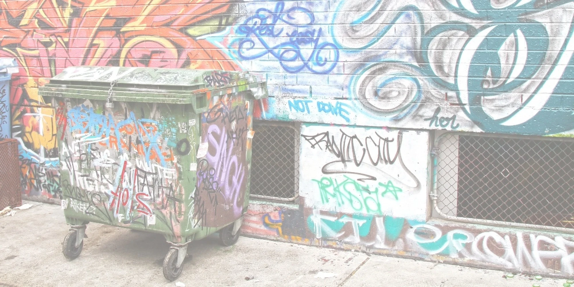 Graffiti and Bins