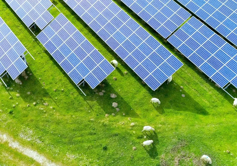 Stolen Solar Panels Header Image (1)