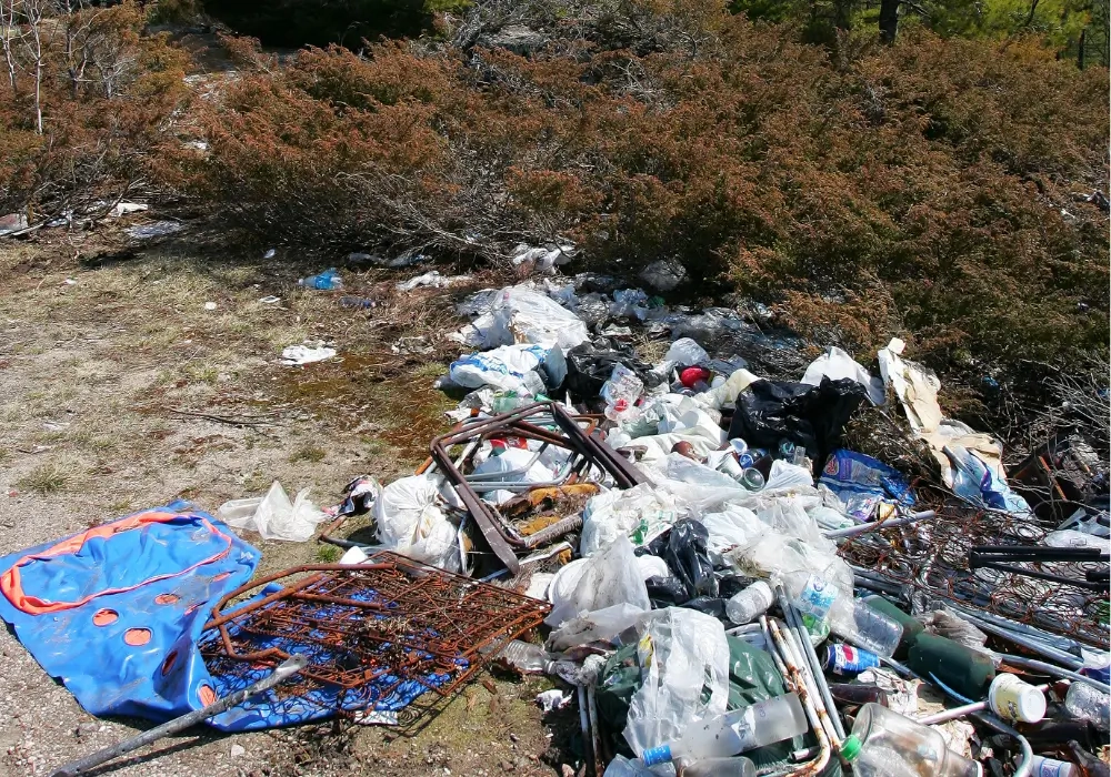 Header Fly-tipping next to a roadside with bushes