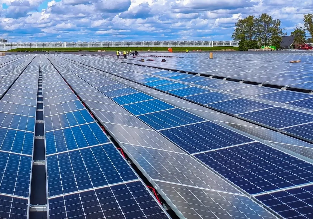 Header Solar panels being installed as part of a solar farm project